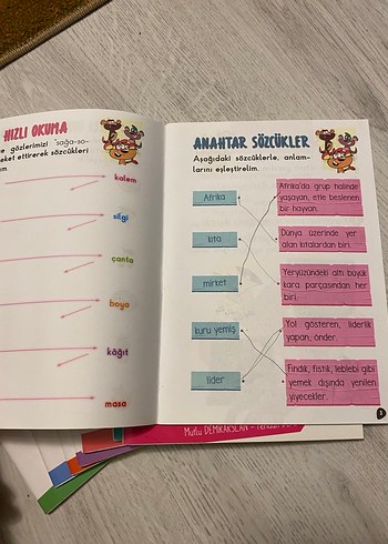 Kuruyemiş Kardeşle - İnatçı Lama Çocuk Kitapları 1.sınıf uygun - Görsel 3