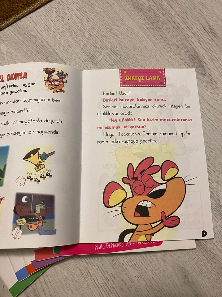 Kuruyemiş Kardeşle - İnatçı Lama Çocuk Kitapları 1.sınıf uygun - Görsel 4