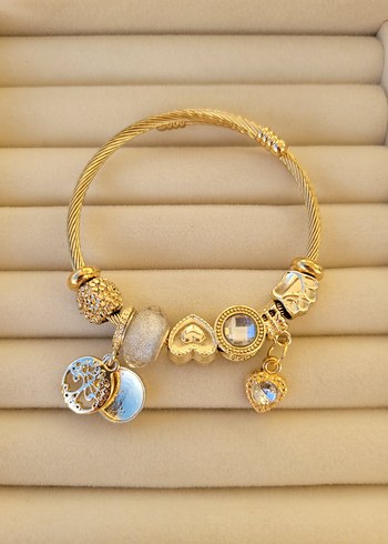 Çelik pandora - Görsel 2