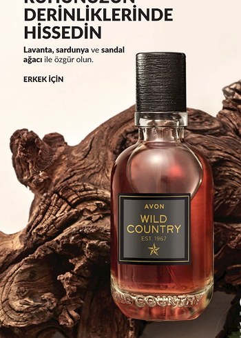 Avon orjinal parfümler fiyat yardımcı olurum - Görsel 2