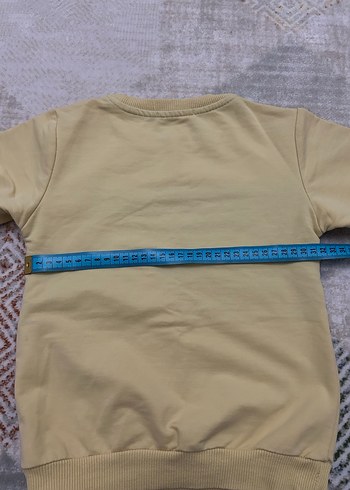 Sarı Gri Baskılı Erkek Sweatshirt - Görsel 6