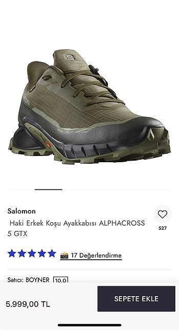 Salomon Alphacross 5 GTX
