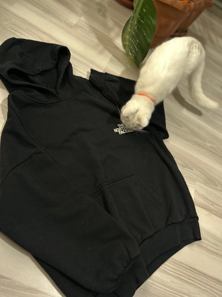 The North Face Siyah Kapüşonlu Sweatshirt - Görsel 3