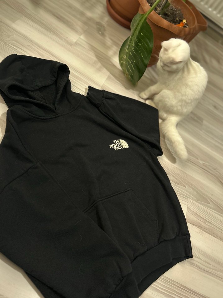 The North Face Siyah Kapüşonlu Sweatshirt - Görsel 2