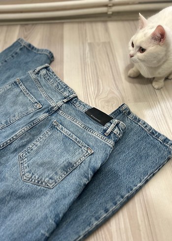 Stradivarius D98 - Görsel 2