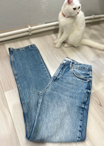 Stradivarius D98 - Görsel 4