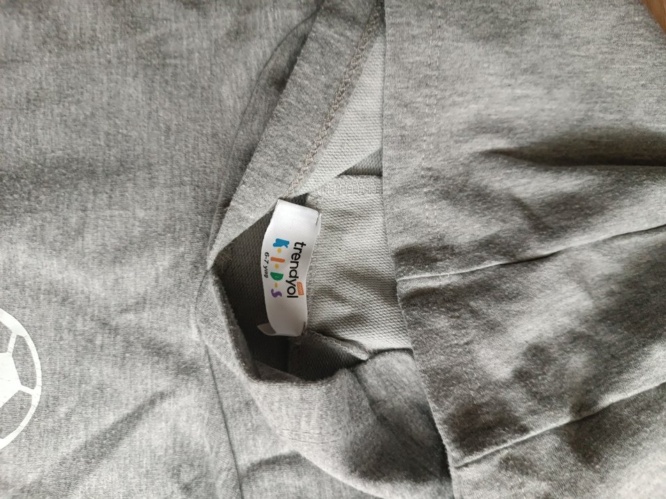 Erkek Çocuk Gri Uzun Kollu Baskılı Sweatshirt - Görsel 3