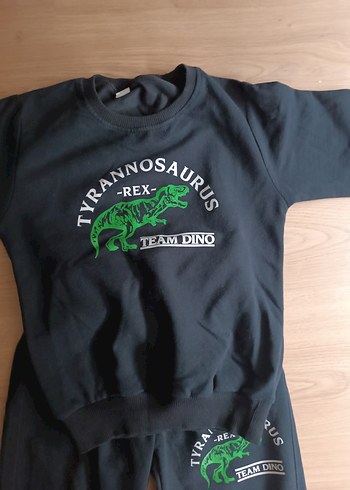 Erkek Siyah Baskılı Dinazor Eşofman Altı - Görsel 2