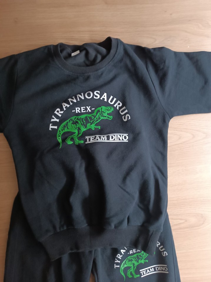 Erkek Siyah Baskılı Dinazor Eşofman Altı - Görsel 2