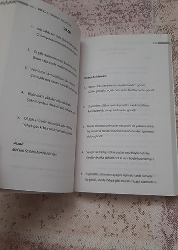 Divan Şiirinden Seçmeler - Karatay - Görsel 2