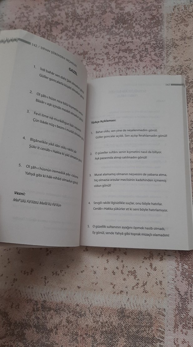 Divan Şiirinden Seçmeler - Karatay - Görsel 2