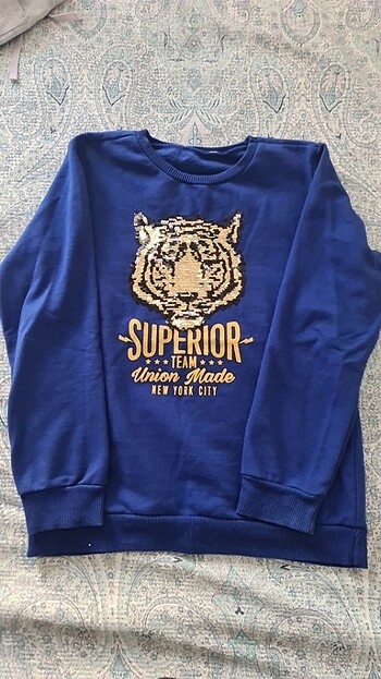 Sweatshirt Erkek Cocuk