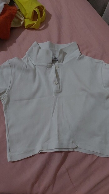 Tshirt lakos