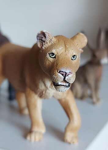 Schleich dişi aslan, koleksiyonluk 