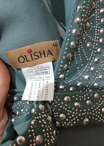 Yeşil Yüksek Yakalı Uzun Kadın Abiye Elbise - Görsel 7