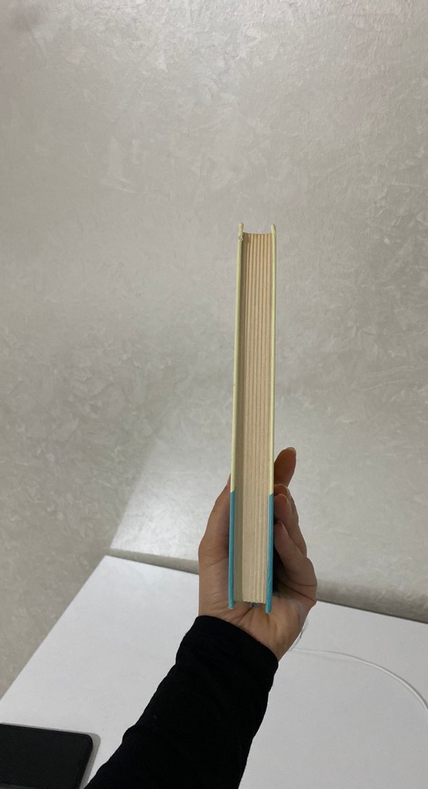 İçimdeki Müzik - Sharon M. Draper - Görsel 2