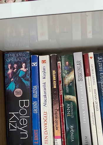 Farklı Yazarlardan Çeşitli Romanlar - Görsel 7
