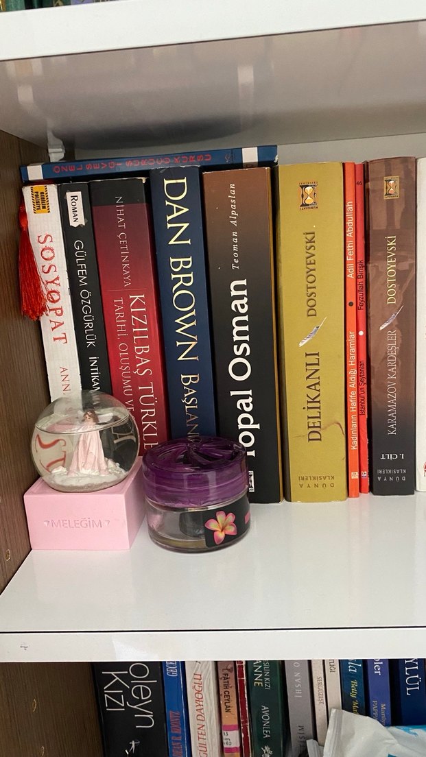 Farklı Yazarlardan Çeşitli Romanlar - Görsel 2