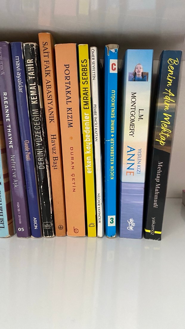 Farklı Yazarlardan Çeşitli Romanlar - Görsel 5