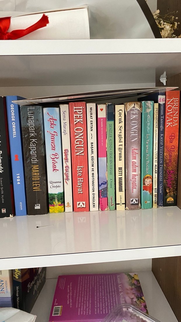 Farklı Yazarlardan Çeşitli Romanlar - Görsel 4