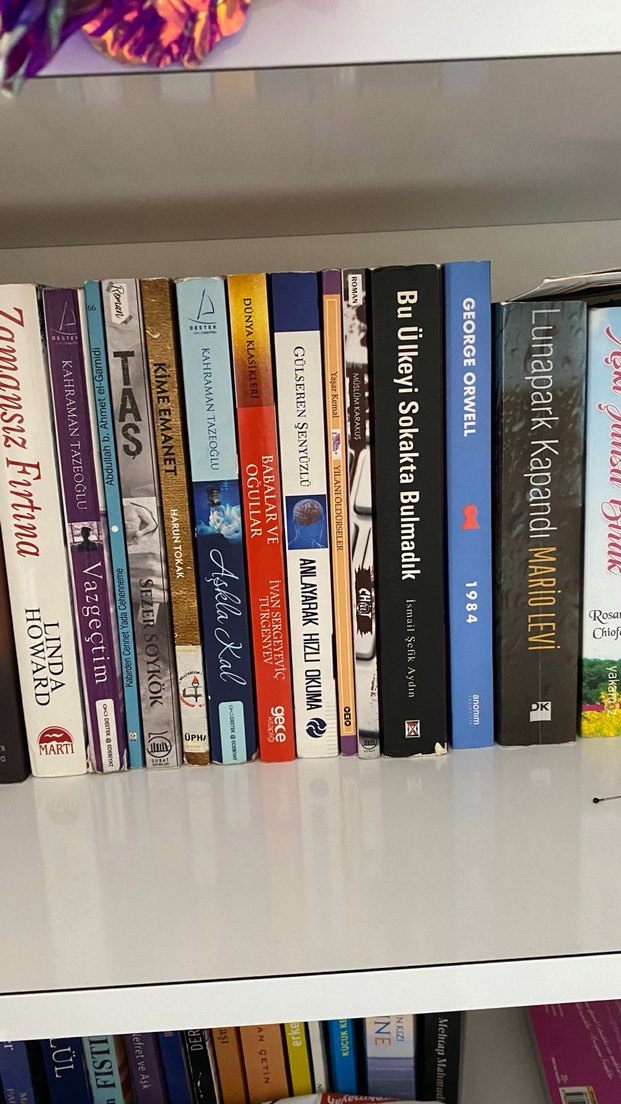 Farklı Yazarlardan Çeşitli Romanlar - Görsel 3