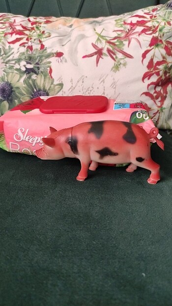 Peppa pig - Görsel 6