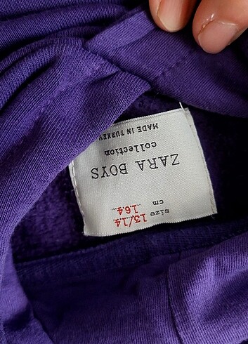 Zara Sweatshirt 