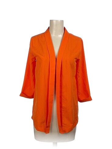 Quzu Blazer %70 İndirimli.