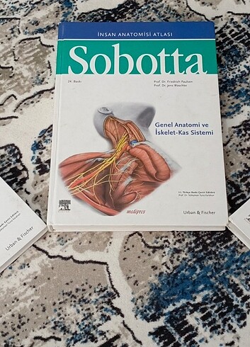 Sobotta anatomi atlası (24.baskı)