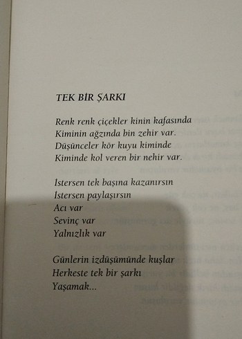 Tutuştu Sözcükler - Mehtap Erdoğan şiir kitabı - Görsel 3