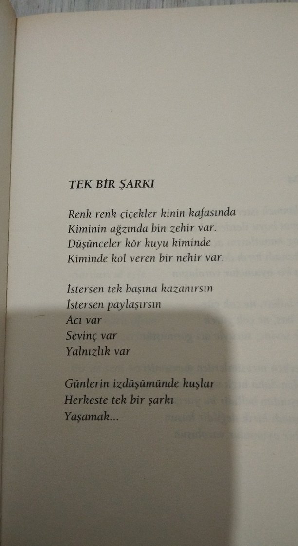 Tutuştu Sözcükler - Mehtap Erdoğan şiir kitabı - Görsel 3
