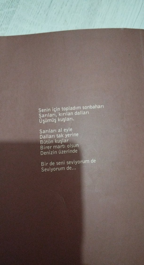 Tutuştu Sözcükler - Mehtap Erdoğan şiir kitabı - Görsel 2