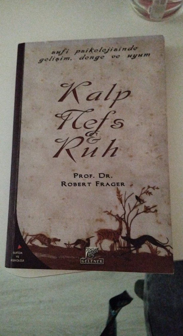 Kalp, Nefs ve Ruh - Prof. Dr. Robert Frager - Görsel 3