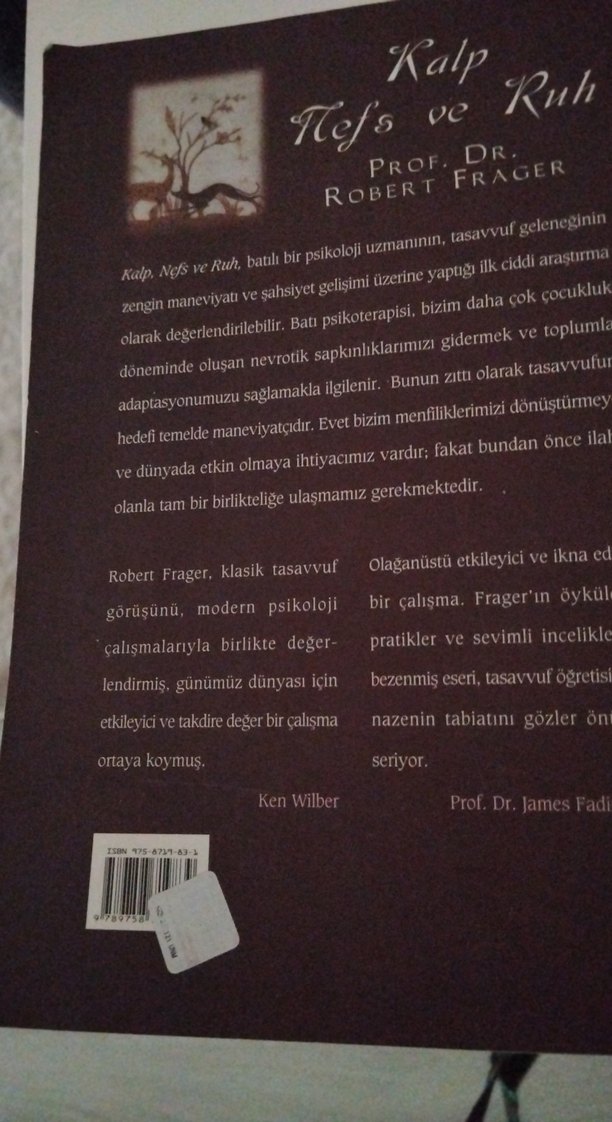Kalp, Nefs ve Ruh - Prof. Dr. Robert Frager - Görsel 2