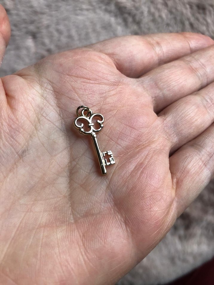 Yargıcı antik kilitli anahtar charm - kolye ucu - Görsel 4