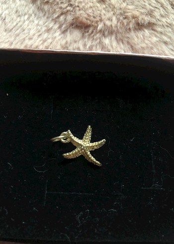 Yargıcı deniz yıldızı charm - kolye ucu - Görsel 2