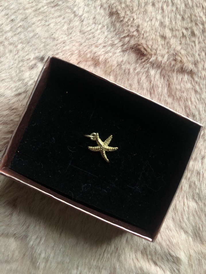 Yargıcı deniz yıldızı charm - kolye ucu - Görsel 3