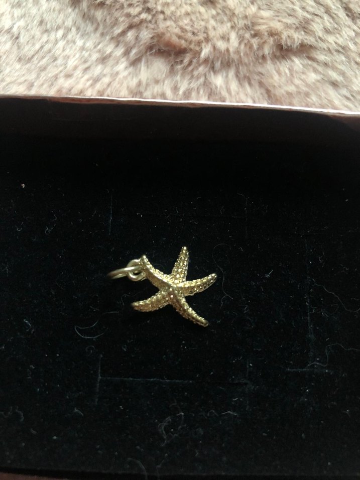 Yargıcı deniz yıldızı charm - kolye ucu - Görsel 2