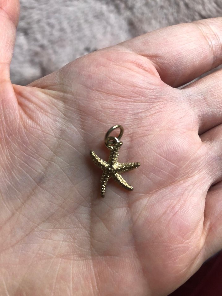 Yargıcı deniz yıldızı charm - kolye ucu - Görsel 4