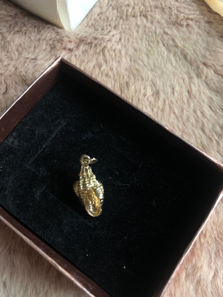 Yargıcı deniz kabuğu charm - kolye ucu - Görsel 3