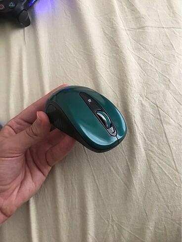 Mouse