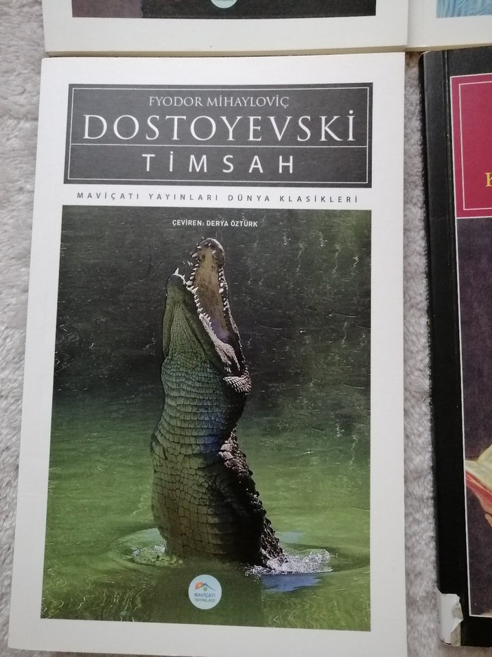 4 kitap tek fiyat - Görsel 2