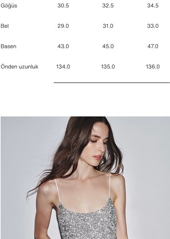 Zara Gümüş Pullu Gece Elbise - Görsel 5