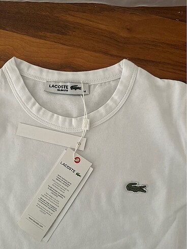 xs Beden Lacoste Tshirt