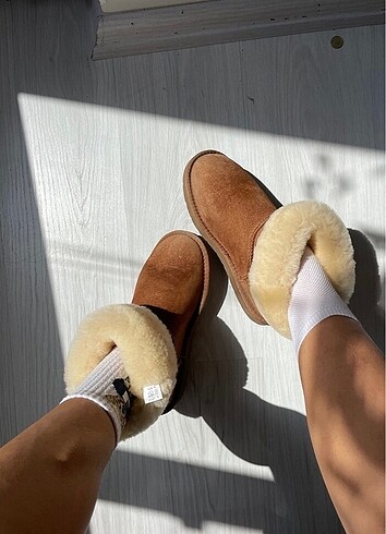 Ugg Bot