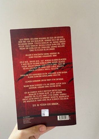 Kırlangıç Çığlığı - Ahmet Ümit - Görsel 3