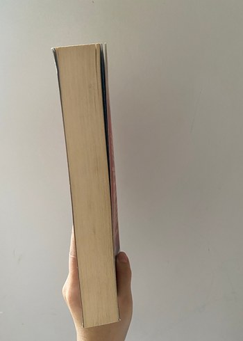 Kırlangıç Çığlığı - Ahmet Ümit - Görsel 4