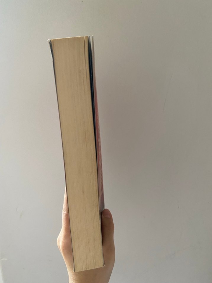 Kırlangıç Çığlığı - Ahmet Ümit - Görsel 4