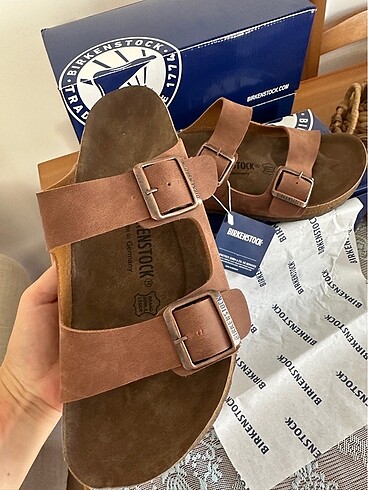 43 Beden Birken Arizona