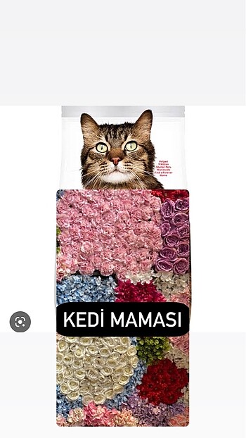 Kedi Maması